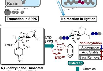 Shielding Thioacetals