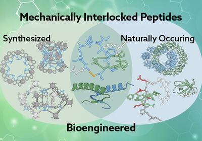 Untangling Interlocked Peptides