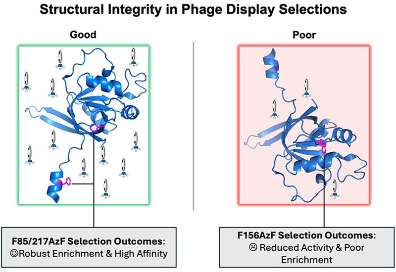 Integrity Shapes Selection