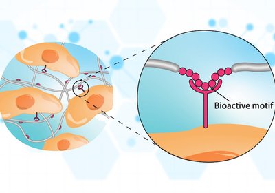 Designing Peptide Materials