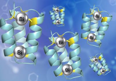 Bismuth Cyclisation Inside Living Cells