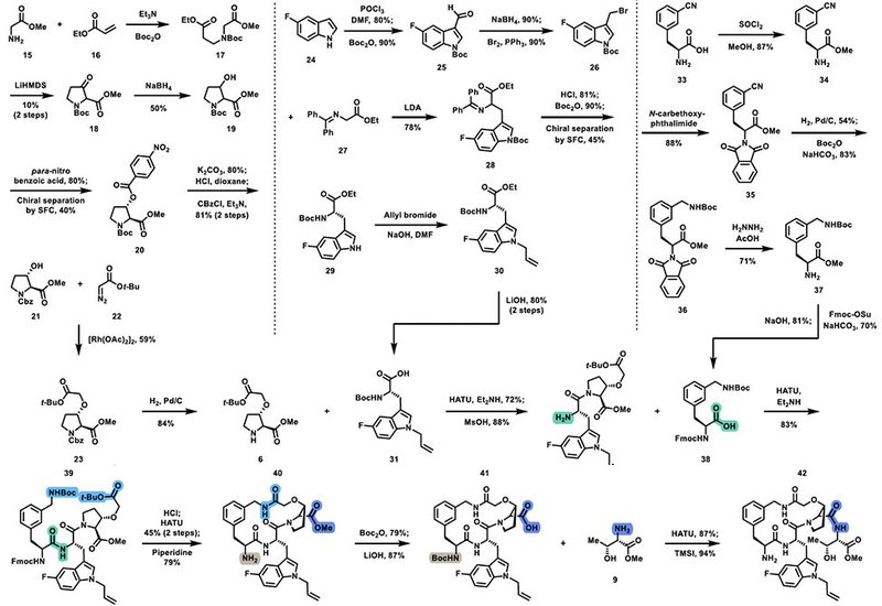 Enlicitide Decanoate