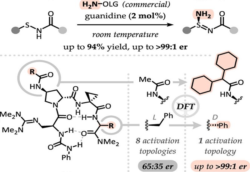 Modeling Selectivity