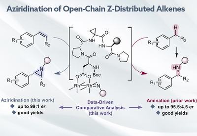 Aziridines by Metallopeptide
