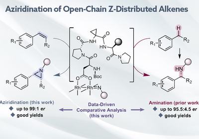 Aziridines by Metallopeptide