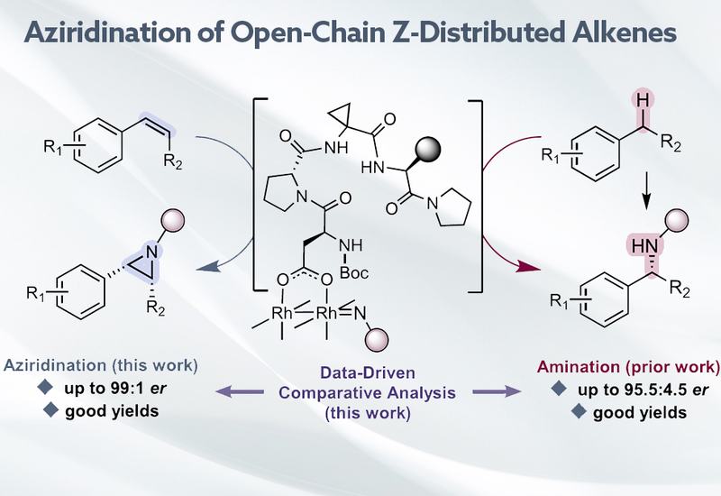 Aziridines by Metallopeptide