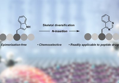 Tryptophan Transformation