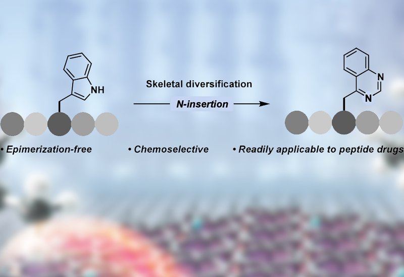 Tryptophan Transformation