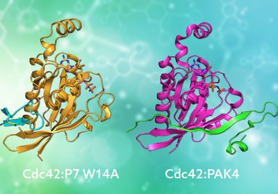 Mimicking Nature's Grip