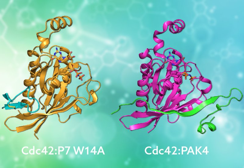 Mimicking Nature's Grip