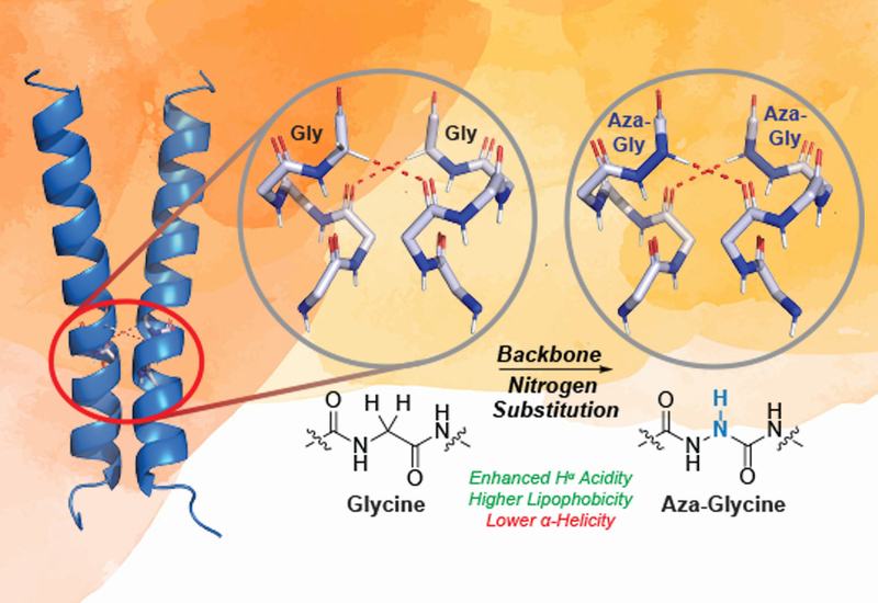 Probing GxxxG Interfaces