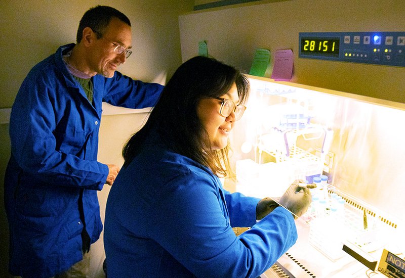 Vancomycin–Teixobactin