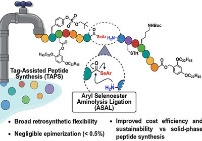Greener Peptide Production