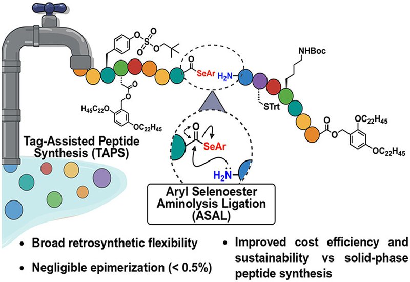 Greener Peptide Production