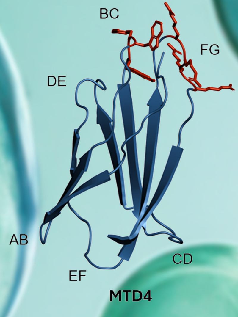 Unlocking Intracellular Space