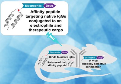 Antibody Drug Painting