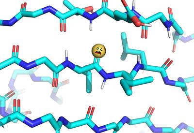 Thioamide Disrupts β-Sheets