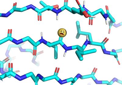 Thioamide Disrupts β-Sheets