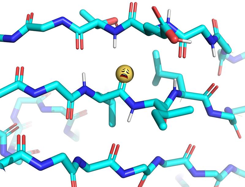 Thioamide Disrupts β-Sheets