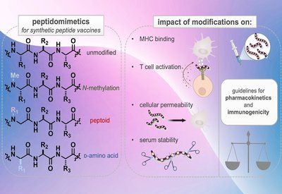Tuning the Antigen