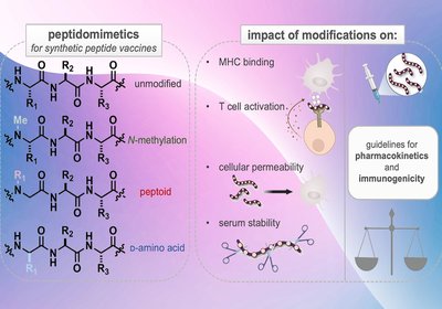 Tuning the Antigen