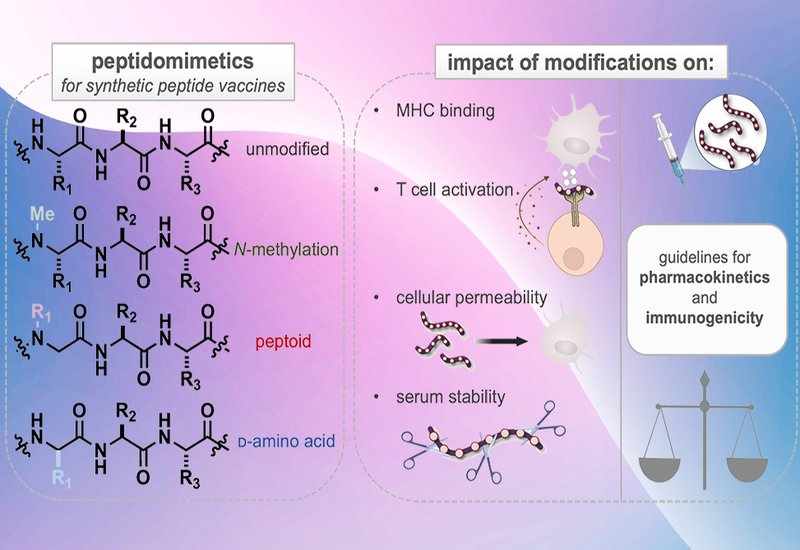 Tuning the Antigen