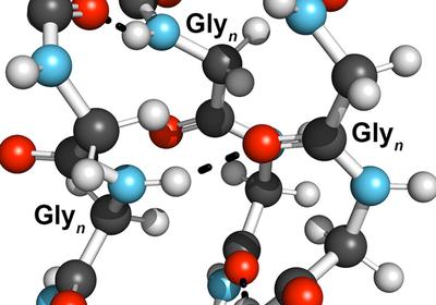 Glycine Builds Collagen