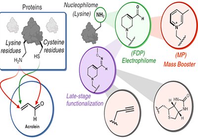 Electrophilic Warheads