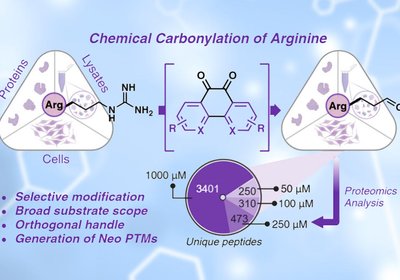 Arginine Carbonylation