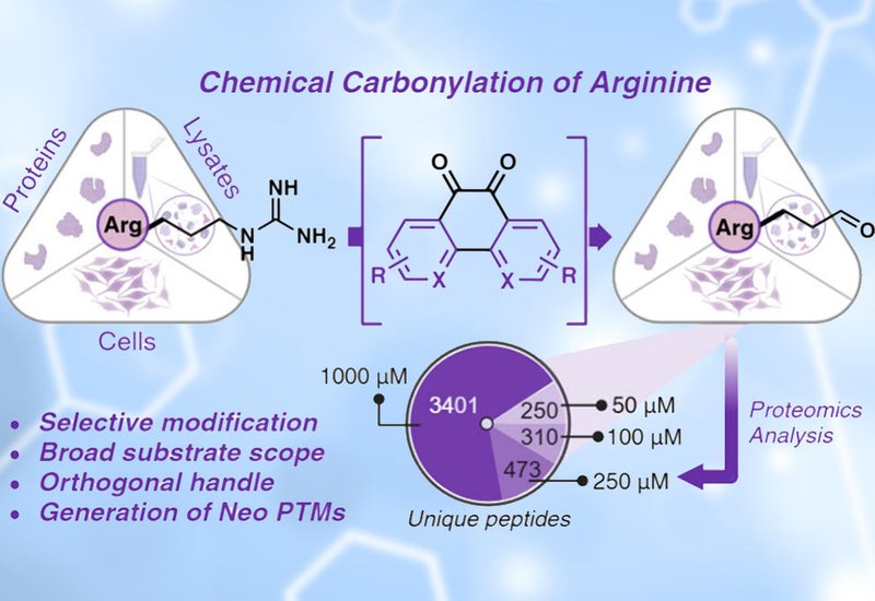 Arginine Carbonylation