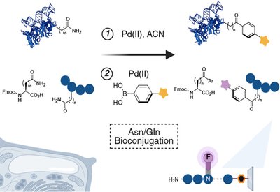 Silent Residues, Activated