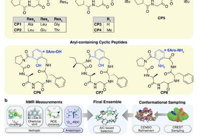 Mapping Macrocycle Motion