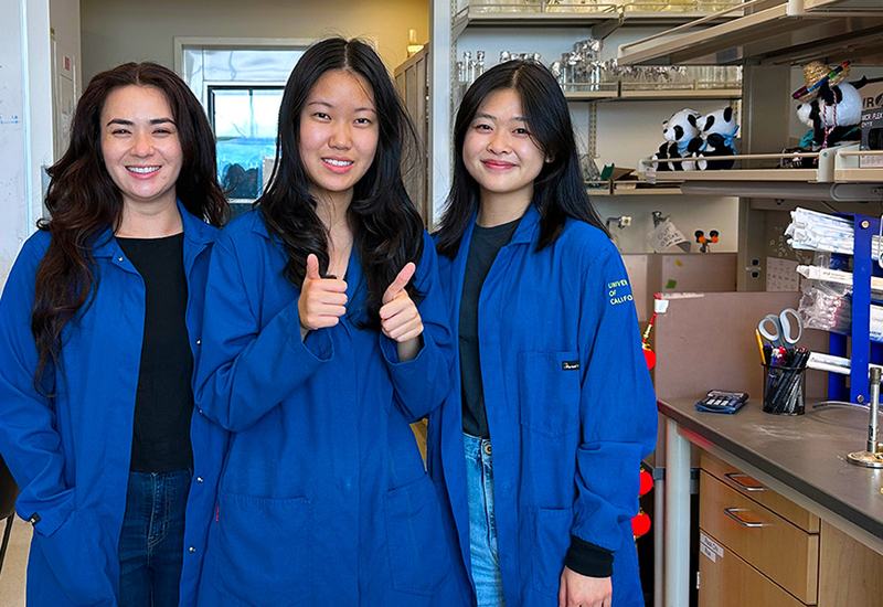 Roe Lab
