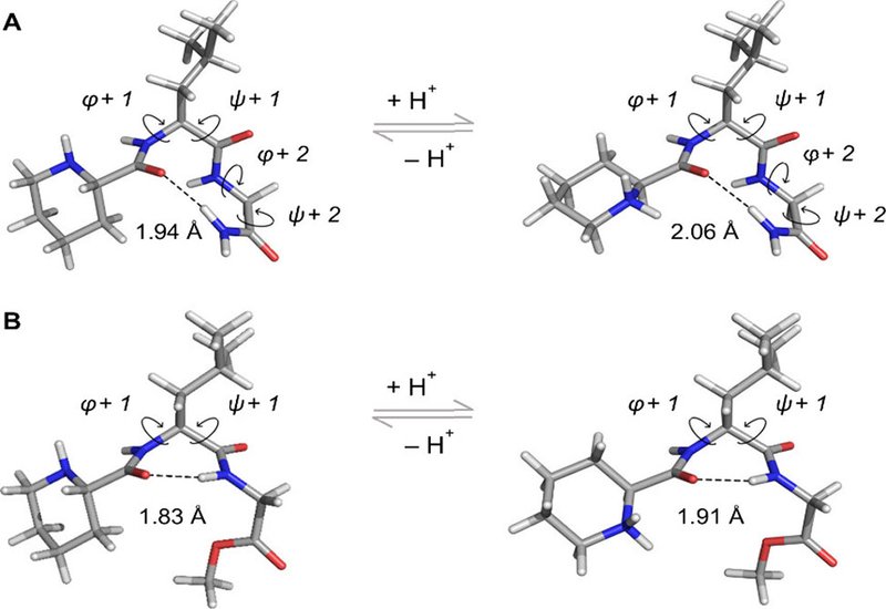 Allosteric Turns