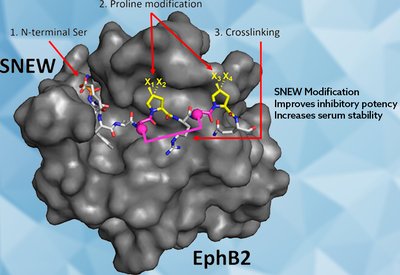 Stabilizing SNEW