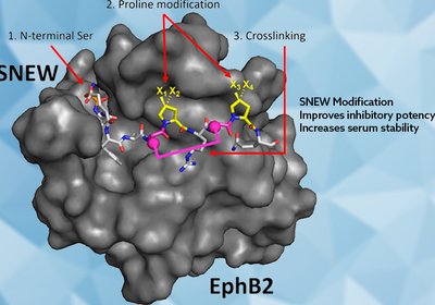 Stabilizing SNEW