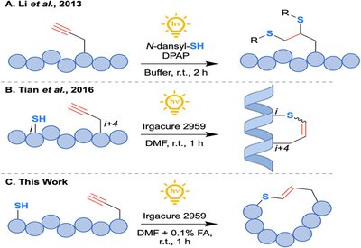 Light-Forged Macrocycles