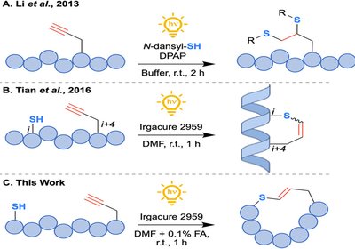 Light-Forged Macrocycles