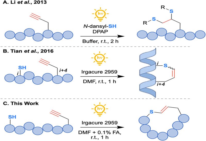 Light-Forged Macrocycles