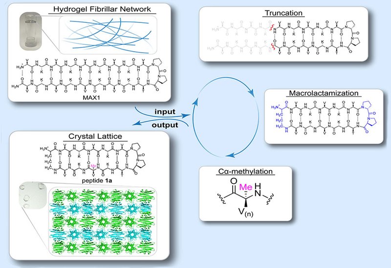 From Hydrogel to Crystal