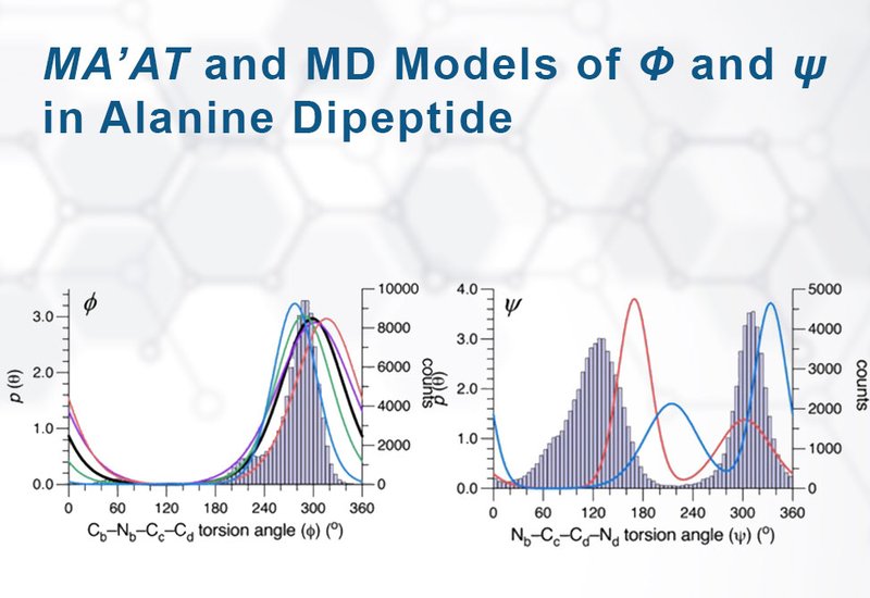 Conformational Equilibrium