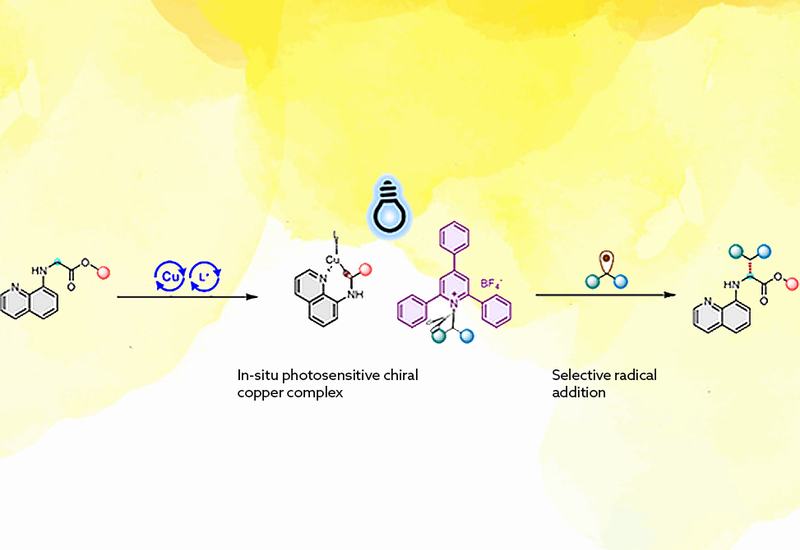 Deaminative UAA Synthesis