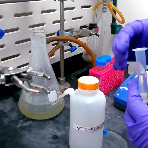 Peptide Synthesis for Beginners