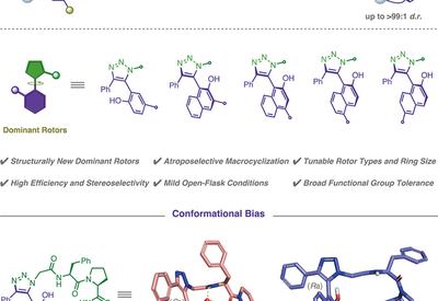 Locking Peptide Shape