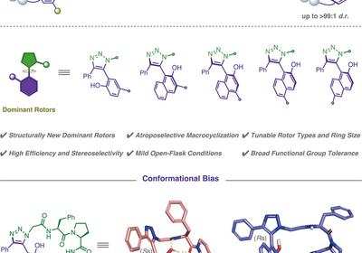 Locking Peptide Shape