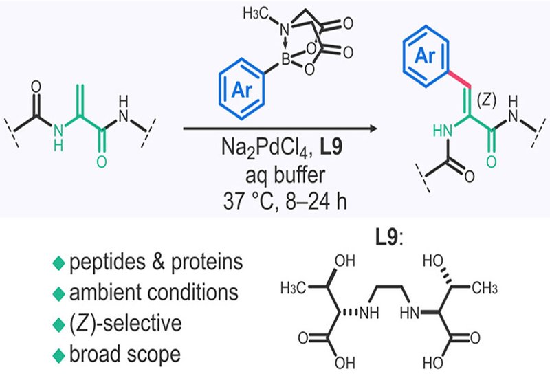 Selective Coupling