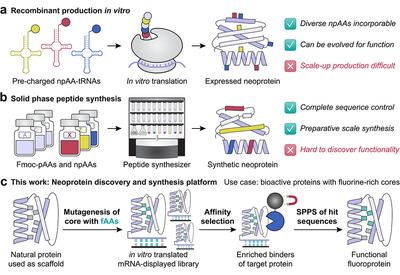 Fluorinated Core Evolution