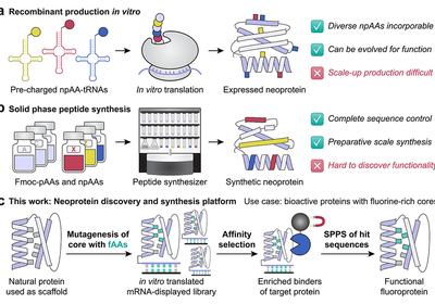 Fluorinated Core Evolution