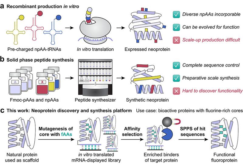 Fluorinated Core Evolution