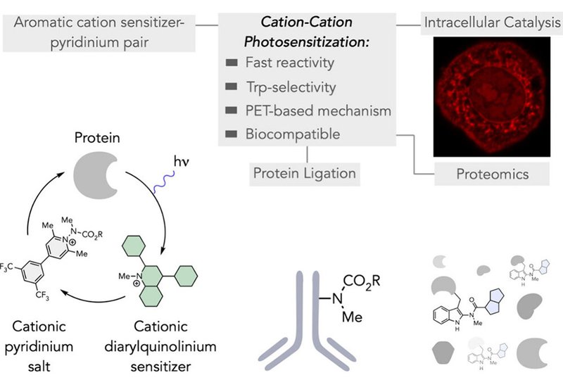Light-Driven Ligation